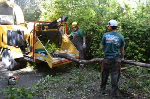 tree services Temple City